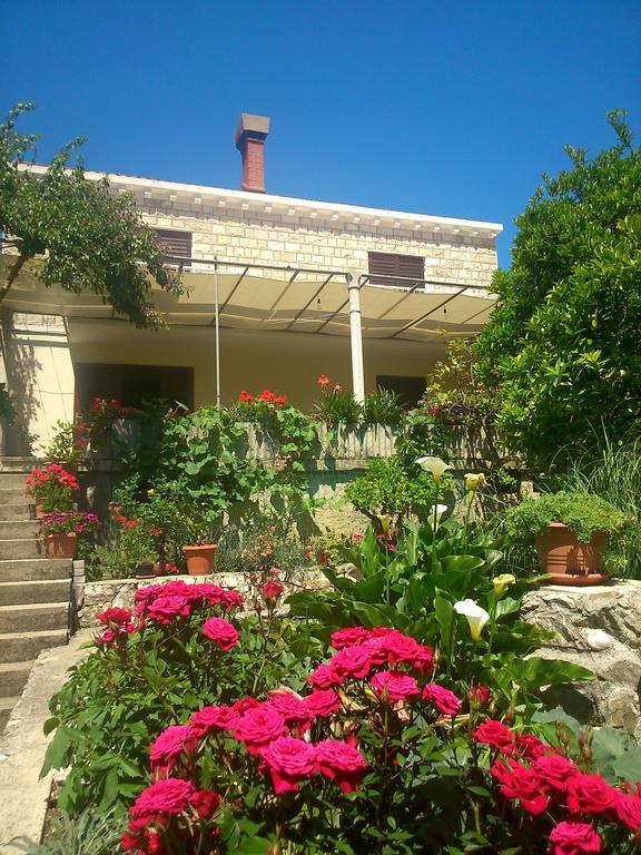 スラノ Antun Mozara Family House Bed & Breakfast エクステリア 写真
