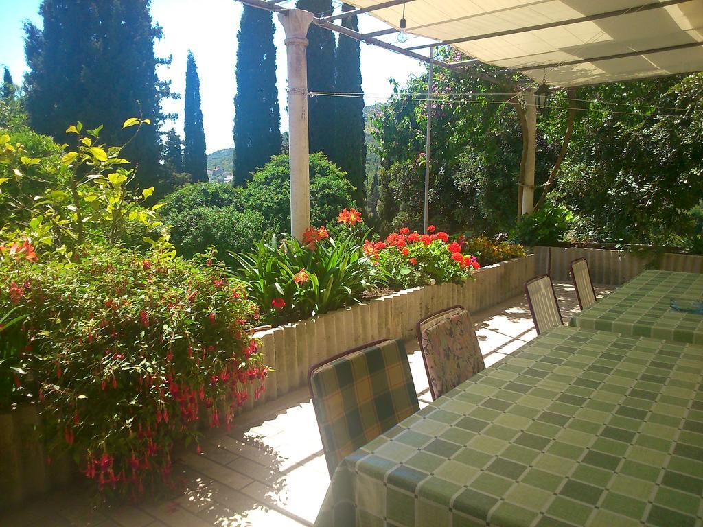 スラノ Antun Mozara Family House Bed & Breakfast エクステリア 写真