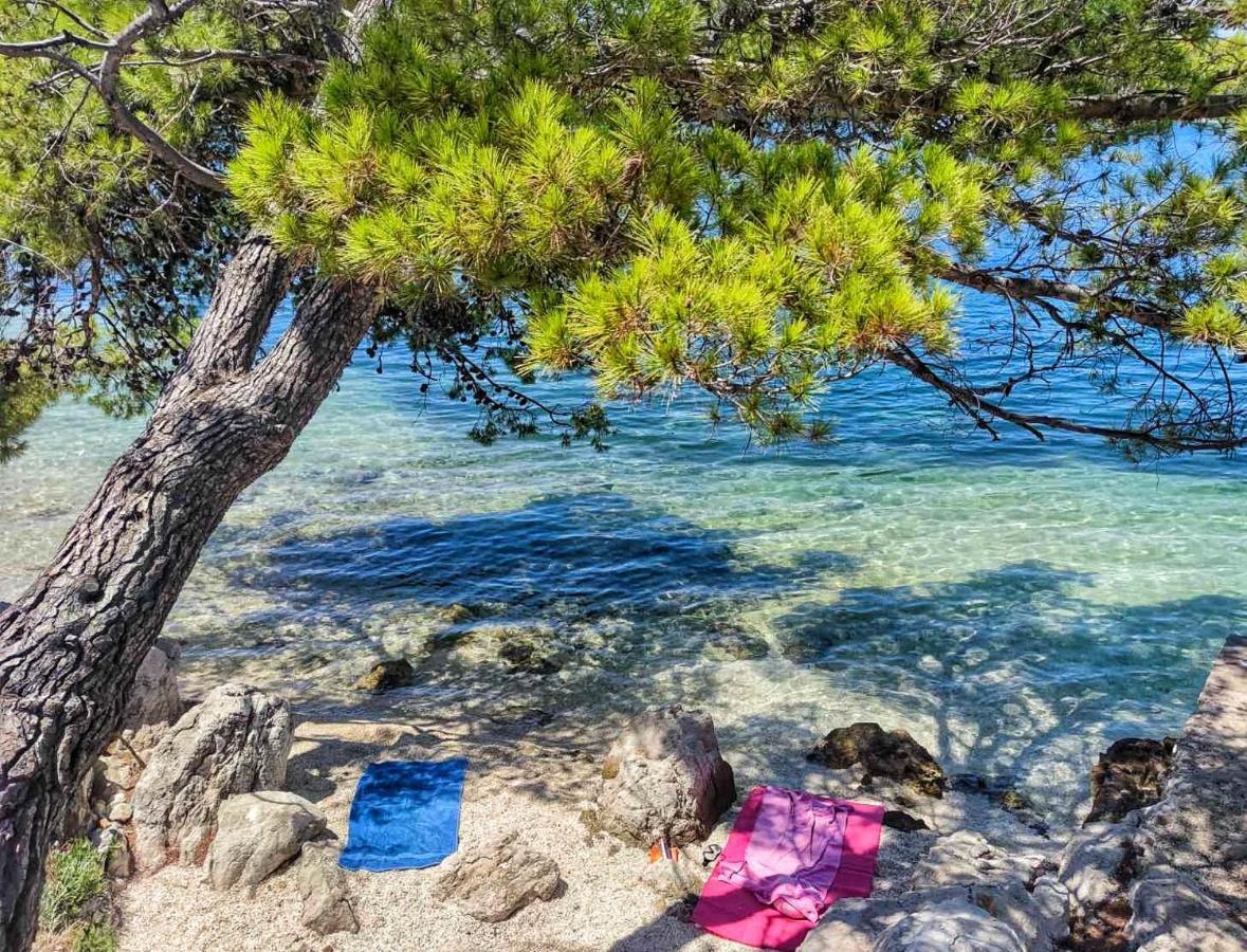 スラノ Antun Mozara Family House Bed & Breakfast エクステリア 写真