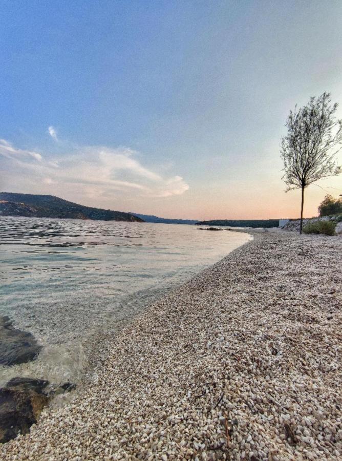 スラノ Antun Mozara Family House Bed & Breakfast エクステリア 写真