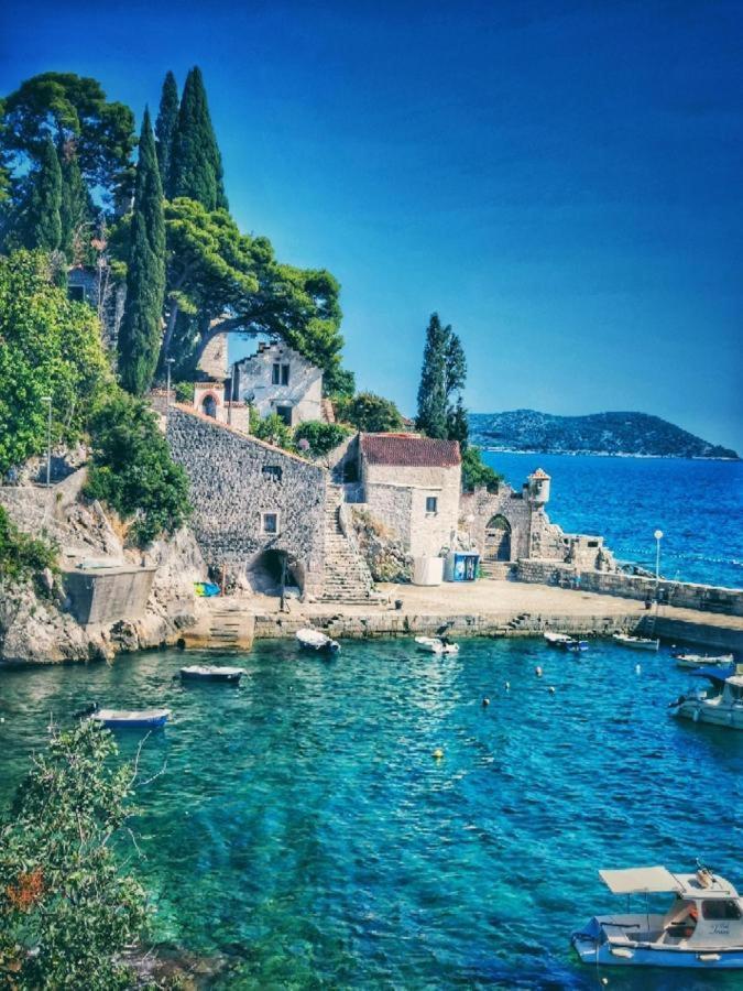 スラノ Antun Mozara Family House Bed & Breakfast エクステリア 写真