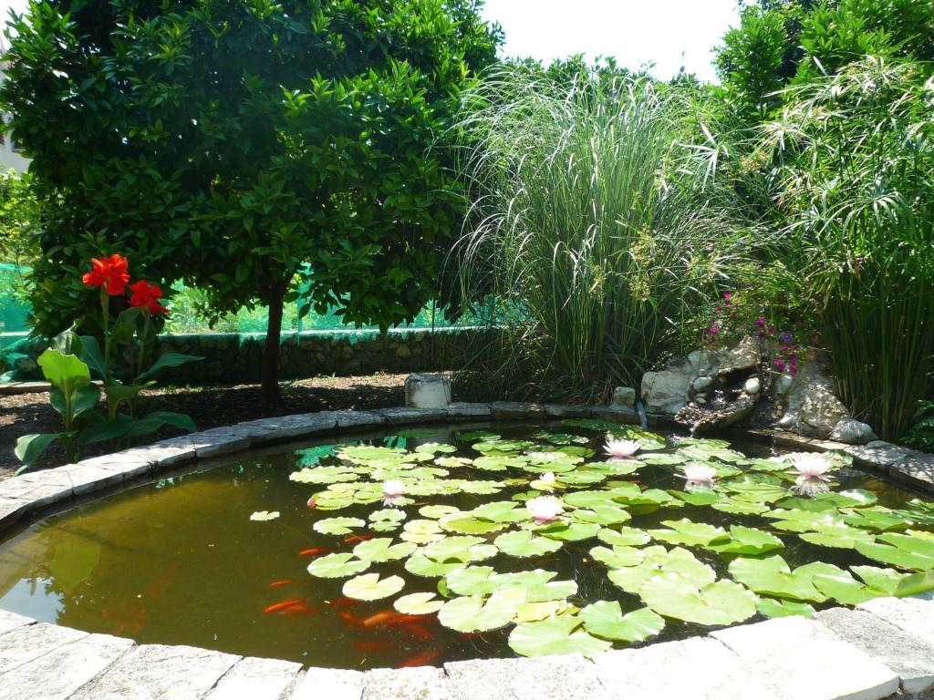 スラノ Antun Mozara Family House Bed & Breakfast エクステリア 写真