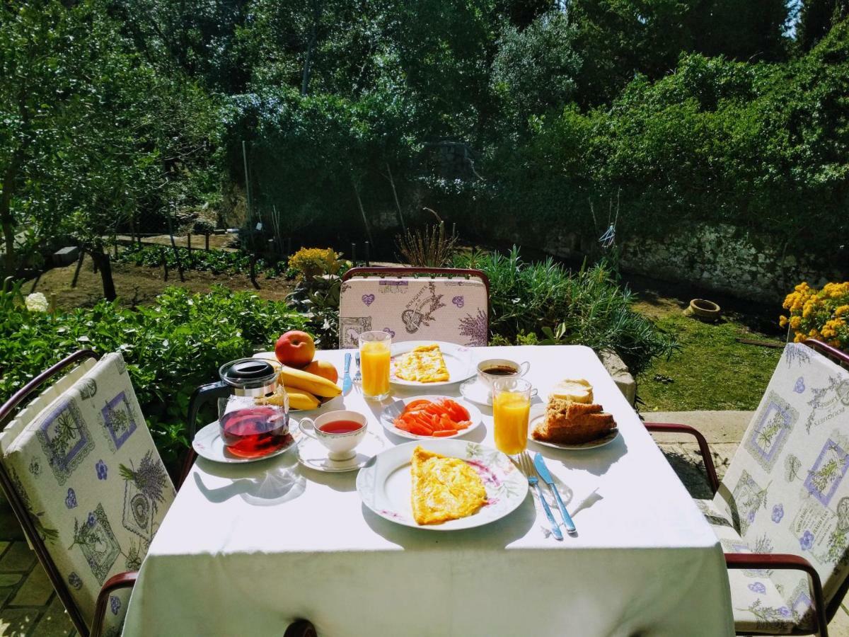 スラノ Antun Mozara Family House Bed & Breakfast エクステリア 写真