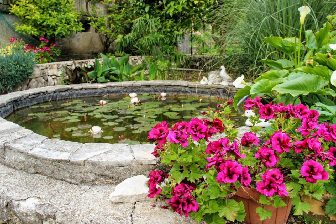 スラノ Antun Mozara Family House Bed & Breakfast エクステリア 写真