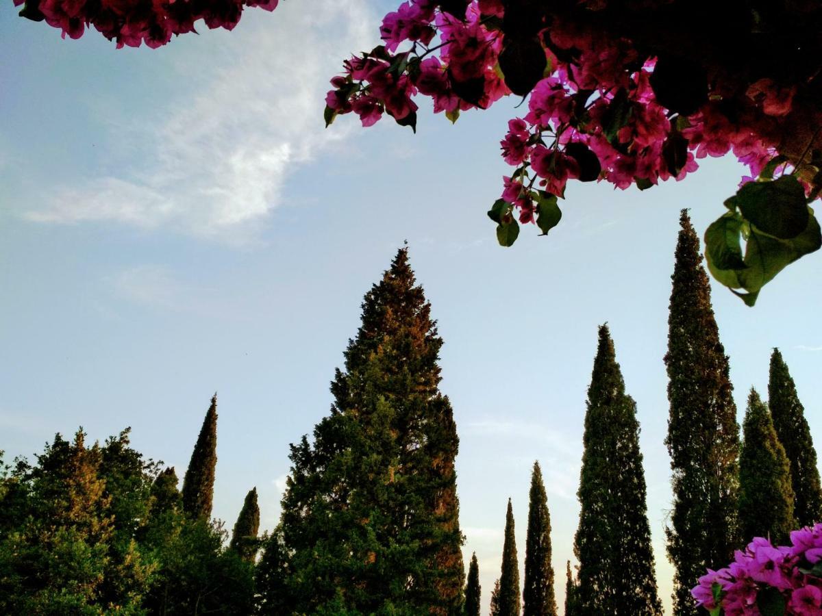 スラノ Antun Mozara Family House Bed & Breakfast エクステリア 写真