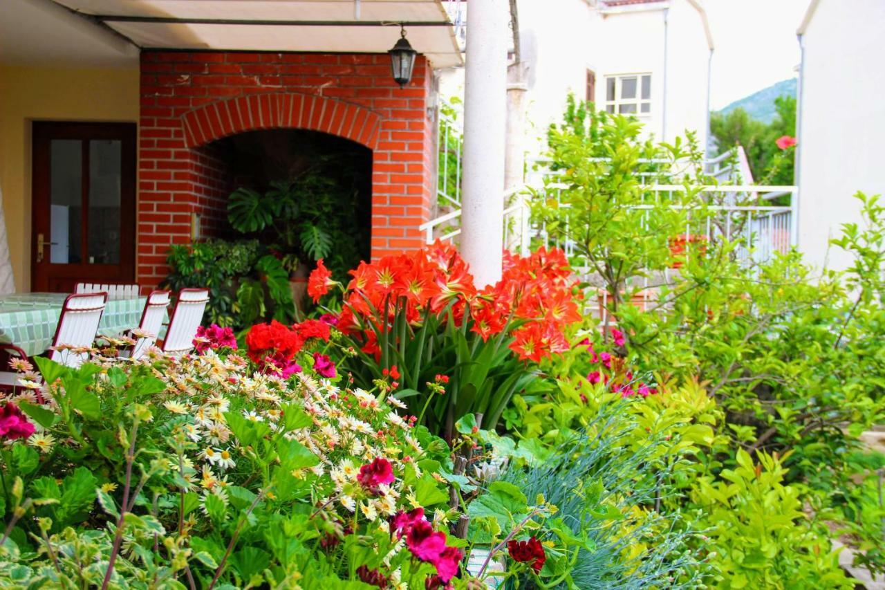 スラノ Antun Mozara Family House Bed & Breakfast エクステリア 写真