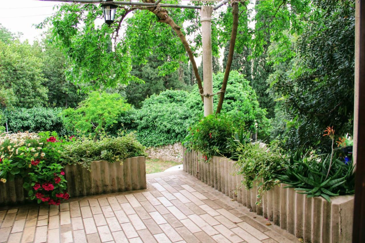 スラノ Antun Mozara Family House Bed & Breakfast エクステリア 写真