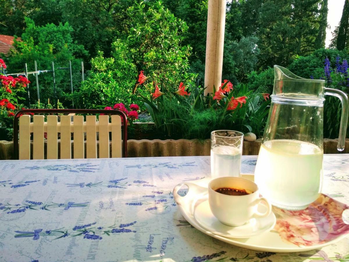 スラノ Antun Mozara Family House Bed & Breakfast エクステリア 写真
