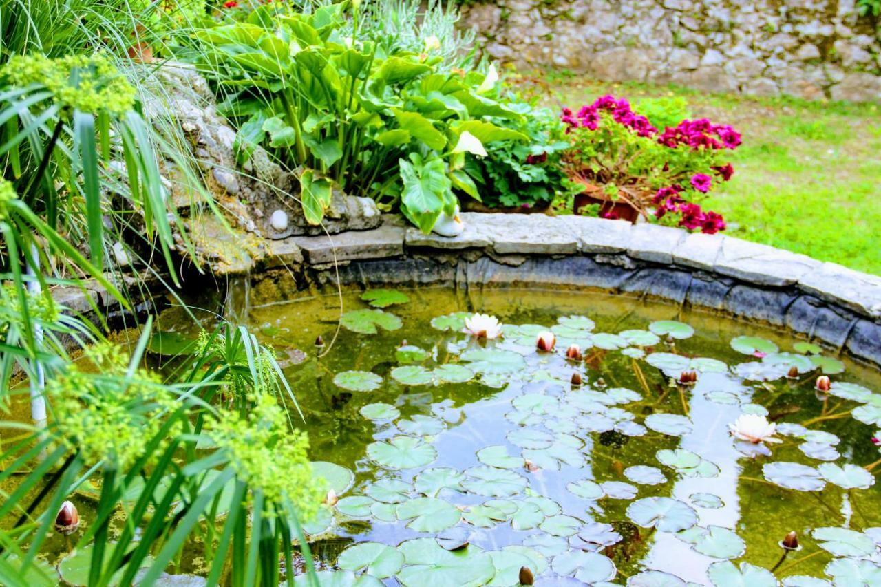 スラノ Antun Mozara Family House Bed & Breakfast エクステリア 写真