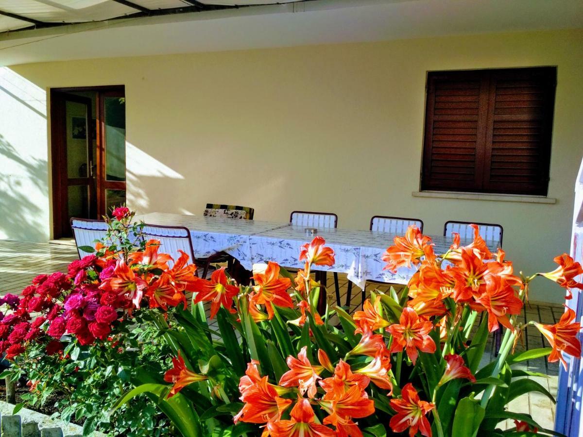 スラノ Antun Mozara Family House Bed & Breakfast エクステリア 写真
